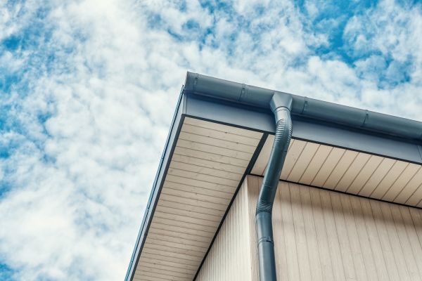 Cost of Gutter Fascia Repair in Painesville