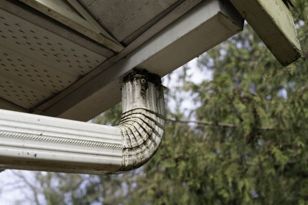 Cost of Roof Drain Replacement in Painesville